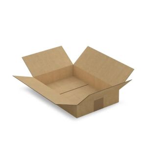 CAISSE DEMENAGEMENT 5 cartons d'emballage 31 x 21.5 x 5.5 cm - Simple 