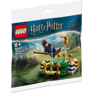 ASSEMBLAGE CONSTRUCTION LEGO 30651 Harry Potter - L'entraînement de Quiddi