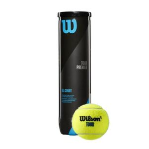 BALLE DE TENNIS Tube de 4 balles de Tennis Wilson toutes surfaces 
