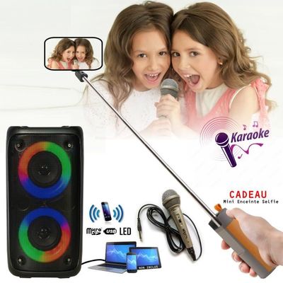 Enceinte mobile Enfant Karaoke USB Bluetooth sur Batterie PARTY LEO-250 -  Micro - Enceinte Perche Selfie Cadeau - Soirée Boum - Cdiscount TV Son Photo