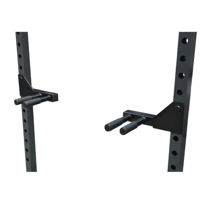 Dips station Titanium Strength modele x line