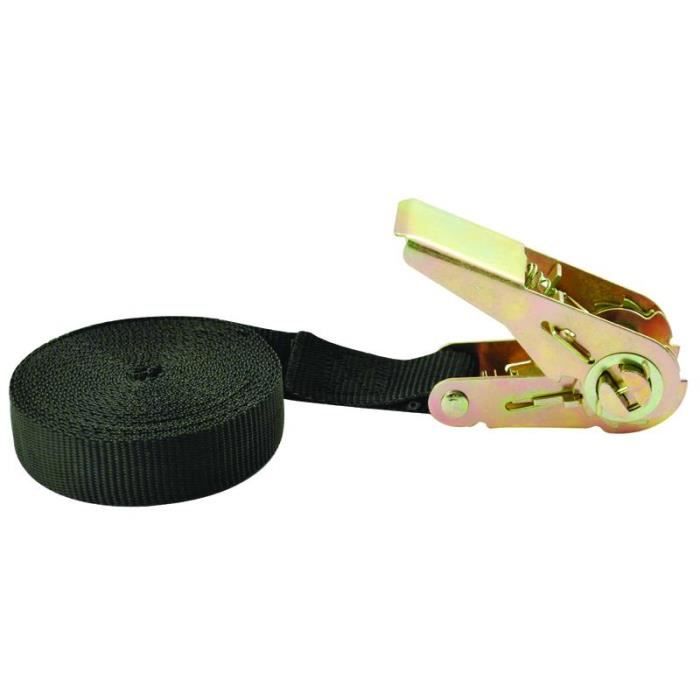 Lot de 2 sangles à cliquet 5 mètres
