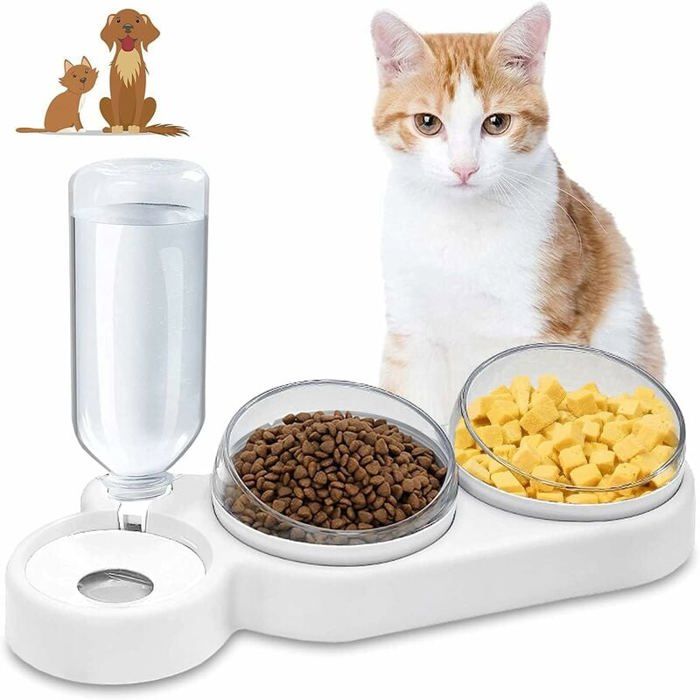 Gamelle surélevée pour chat - Inclinaison 15° - Anti-vomissements - Antidérapant - Stockage deau - Plastique PP