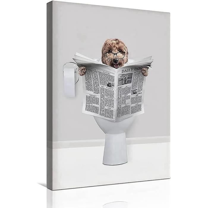 Lot De 10 Branches D'eucalyptus Séchées Naturelles, Branches