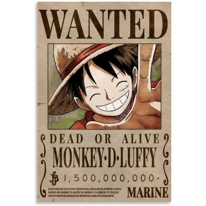 Poster Qwsde One Piece Luffy Bounty Wanted Poster Decoratif Sur Toile Pour Salon Chambre A Coucher 30 X 45 Cm112 Cdiscount Maison