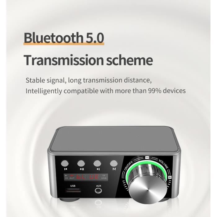 Amplificateur numérique Bluetooth, Mini amplificateur de puissance Bluetooth  5.0, Amplificateur audio - Cdiscount TV Son Photo
