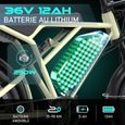 Vélo électrique VAE - ColorWay - Noir&Doré - 20"Pneu 4.0 Fat - Batterie amovible 36V 12Ah - E-BIKE Tout Terrain - VTT Électrique-1