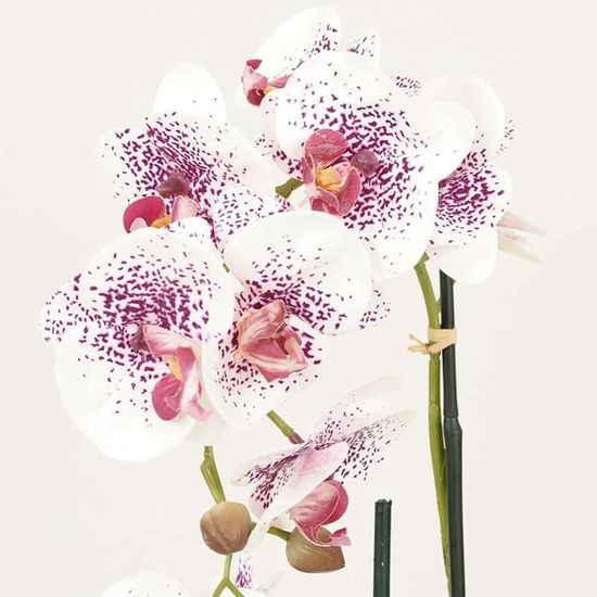 Orchidées artificielles fuchsia 35cm - Cdiscount Maison