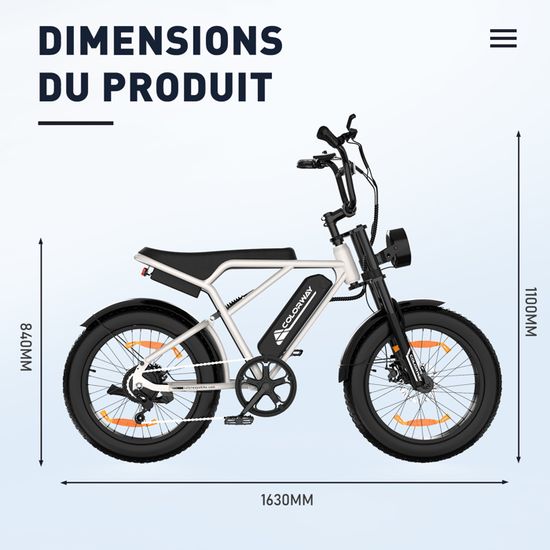 V lo lectrique VAE ColorWay Noir Dor 20