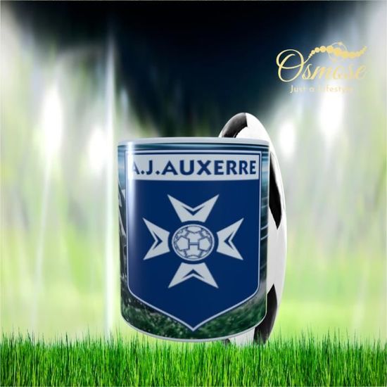 Pin's FC Metz Vs Auxerre 92-93 – Badge Fan De Football Vintage, Collection
