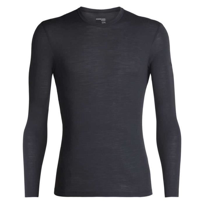 Vêtements Homme T-Shirts Icebreaker 175 Everyday Crewe