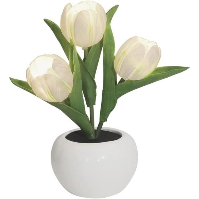 Éclairage de table à LED simulation LED Lumière de nuit Tulip avec vase - lampe Tulip ECLAIRAGE