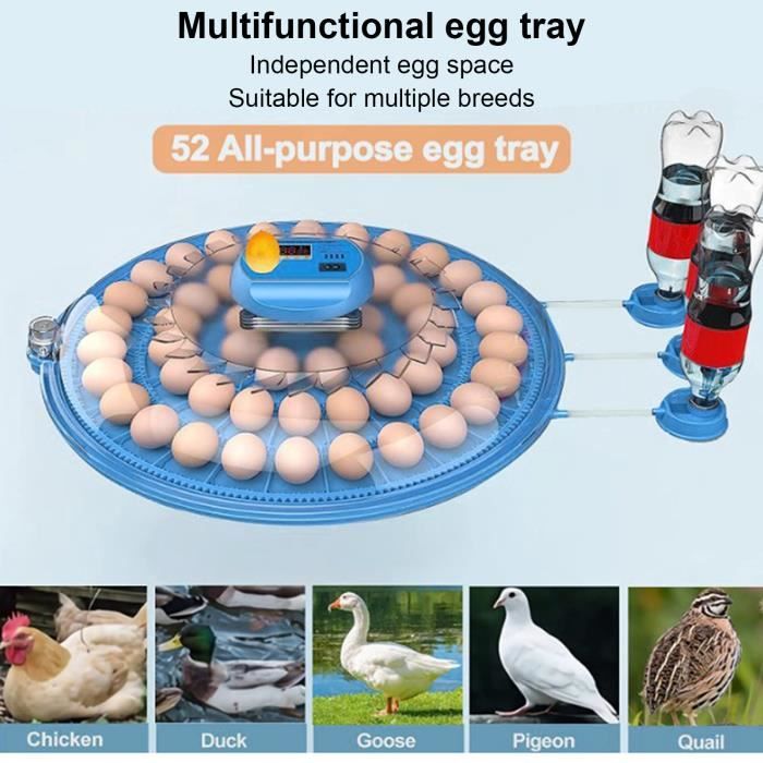 Poudre Solaire 500 Incubateurs D'oeufs De Poule Prix/incubateur De Plateau D'oeufs De Caille/incubateurs D'oeufs Solaires HJ-SI6