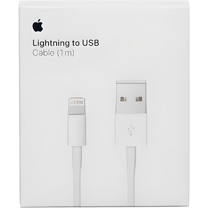 Cable Lightning vers USB Original APPLE (1m) - Cdiscount Téléphonie