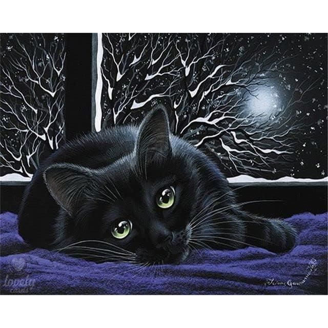 Peinture Par Numéro Figured'Art - Chat Connaisseur - Kit De Loisir Creatif Diy Numero D Art Complet 40x50cm Sans Chassis En Bois 10207391