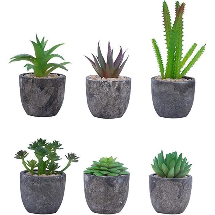 Plante Artificielle (Lot de 6) - Mini Fausse Plante Succulente avec Pots - Petite  Plante Décorative en Plastique - Parfaites - Cdiscount Maison