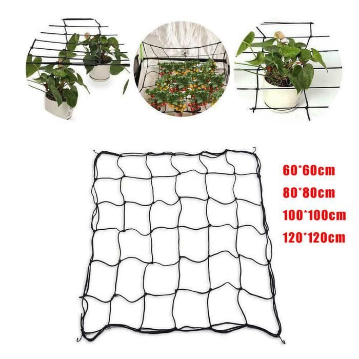 Filet De Treillis Élastique 120x120cm Avec 4 Crochets - Support Pour Plantes, Légumes Et Fruits