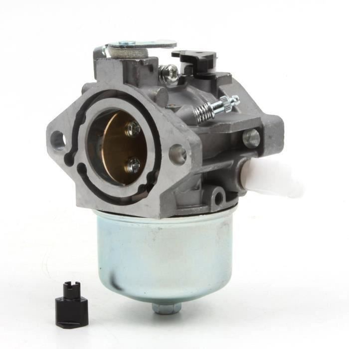 Carburateur Pour Moteur Briggs & Stratton - Compatible 699831 286702 286707 289702 289707 - Neuf
