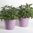 Jardinières et pots de fleurs - Pot de fleurs - HEDERA - D 25 cm - Lavande Violet-1