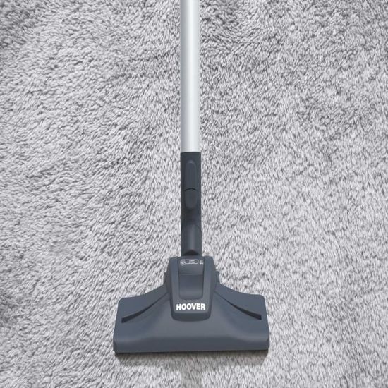 HOOVER TELIOS EXTRA TX50PET - ASPIRATEUR TRAINEAU AVEC SAC - 700W