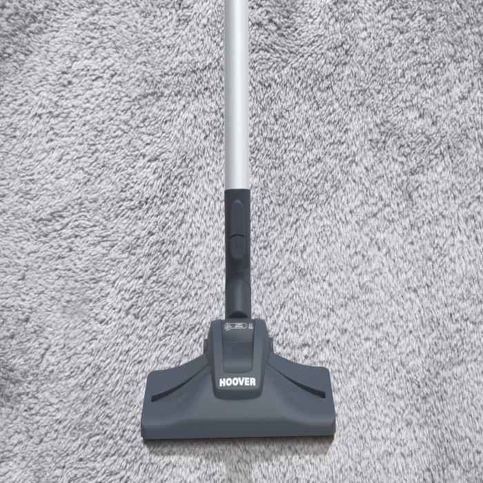 Hoover TX60PET, Aspirateur Traineau avec Sac Telios Extra,Hautes