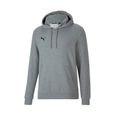 Sweats PUMA Teamgoal 23 Causals Hoody Gris - Homme/Adulte-0