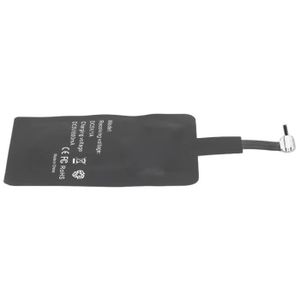 CHARGEUR TÉLÉPHONE RHO- Chargeur Micro USB Type C Récepteur de charge