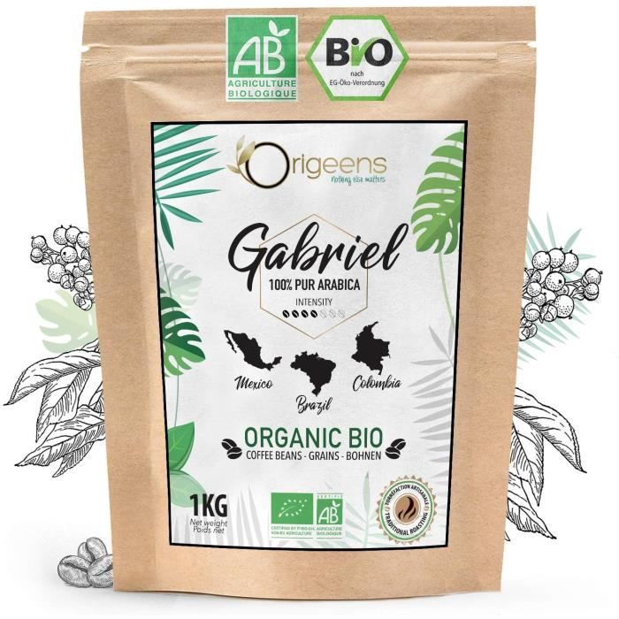ORIGEENS CAFE GRAIN BIO 1kg - Café en Grain Arabica - Torréfaction Artisanale - Gabriel
