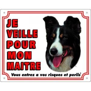 Vadigran Panneau Border Collie