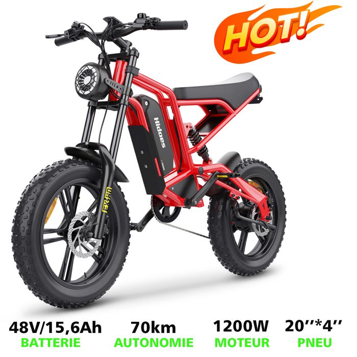 Vélo électrique tout-terrain - HIDOES - HD-B6 - 20 - 750W - Batterie 48V 182Ah amovible - Freins hydrauliques