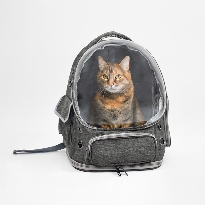Meilleurs prix pour Sac à dos de transport avec bulle chien/chat