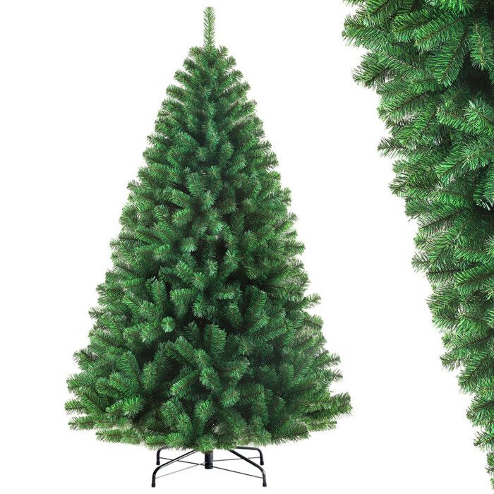 Sapin De Nol Raliste