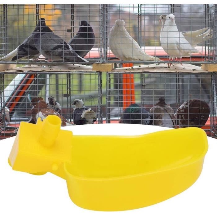 Abreuvoir Automatique Pour Pigeons Et Oiseaux 12L - Distributeur D'eau à Grande Poignée, En PP, Niveau Constant, Facile à Nettoyer