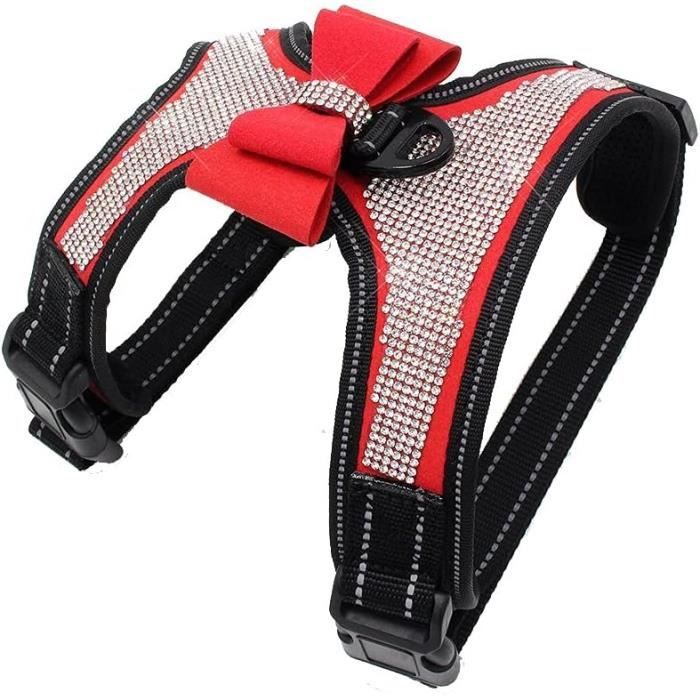 Collier Plastron LED Pour Cheval – Haute Visibilité Réglable Avec Bandes Réfléchissantes Et Lumière Puissante