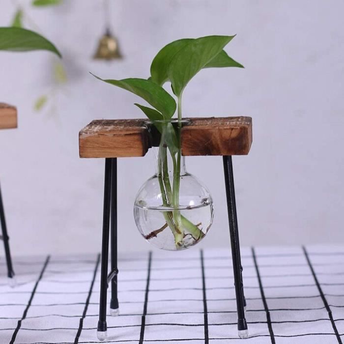 Vase En Verre Cœur Avec Support Bois - Station Propagation Plantes Hydroponie Décoration