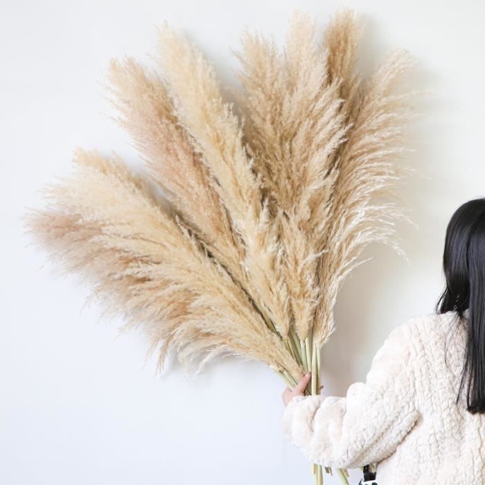 60 Pièces Pampas Séchées Naturelles - Bouquet Fleurs Séchées Boho Pour Décoration Maison Et Mariage