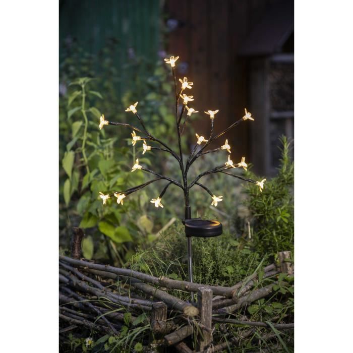 Arbuste à fleurs solaire - GALIX - G4505 - H72