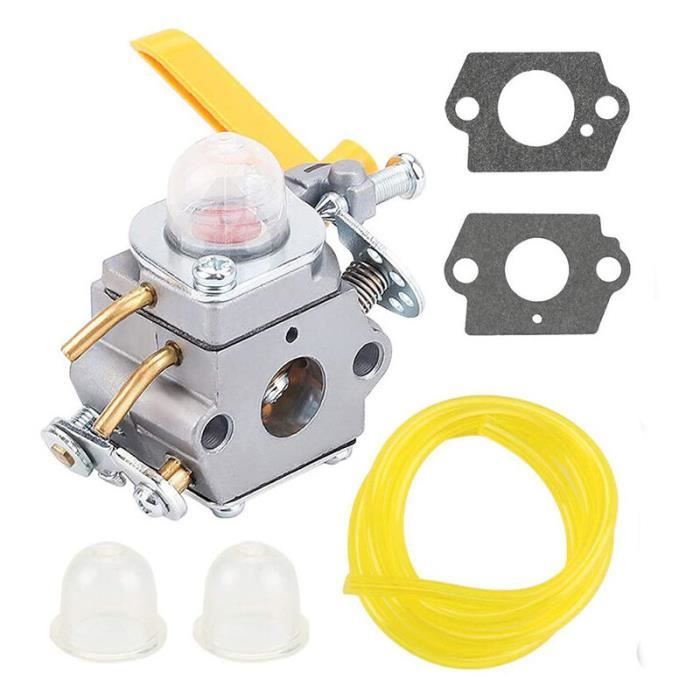 Carburateur avec joint C1U-H60 308054013 308054012 308054004 308054008 ...