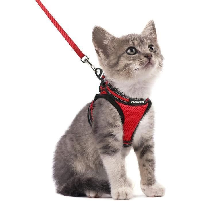 Meilleurs prix pour Rabbitgoo Harnais Chat Harnais pour chaton/petit chien Harnais Respirant et Bande Réfléchissante réglables -Taille S -Rouge