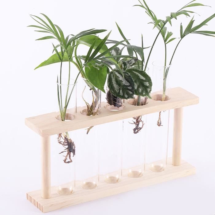 Comparer les prix de Terrarium pour plantes - ZERODIS - Modèle LV688 - 5 tubes à essai - Transparent - Facile à nettoyer