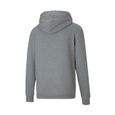 Sweats PUMA Teamgoal 23 Causals Hoody Gris - Homme/Adulte-1