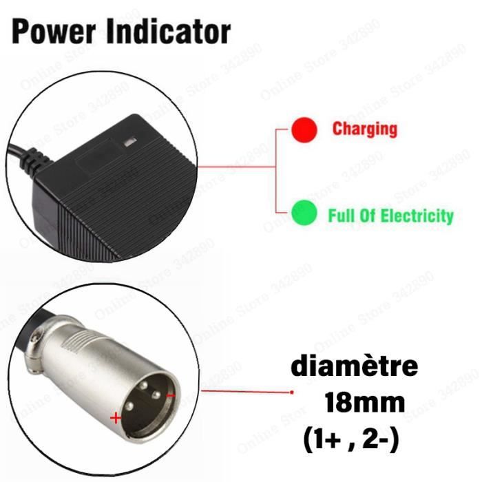 Drfeify Chargeur de batterie pour scooters électriques Drfeify Chargeur de  batterie de fauteuil parapharmacie accessoire Prise UE - Cdiscount Santé -  Mieux vivre