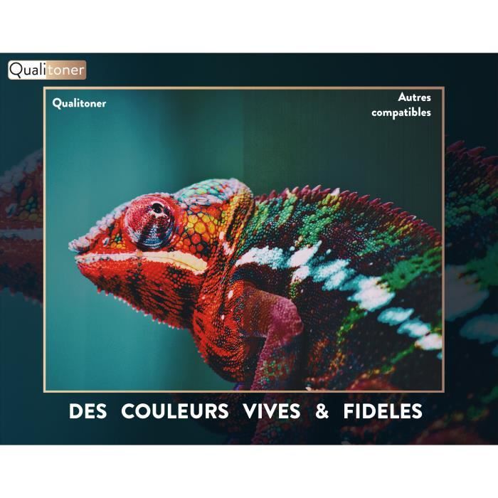 Boulet de Canon 2 mm (100 Unités