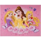 GUIZMAX Tapis enfant Princesse 125 x 95 cm Disney 03 Haute qualite