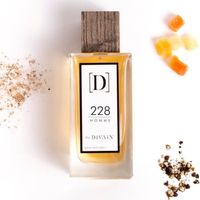 DIVAIN-228 Parfum Pour Homme 100 ml