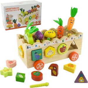 JEU D'APPRENTISSAGE Montessori - Trieur De Légumes En Bois Magnétique 