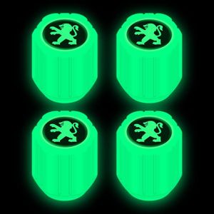Bouchons de valve fluorescents – Acheter Bouchons de valve fluorescents – Acheter