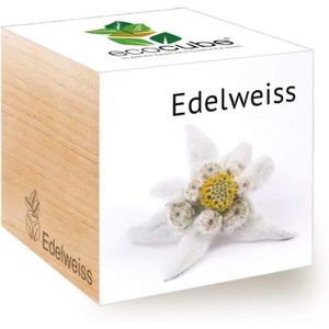 KIT DE CULTURE Ecocube Edelweiss, Idée Cadeau (100% Ecologique), 