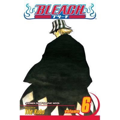 Bleach: v. 6 - Tite Kubo