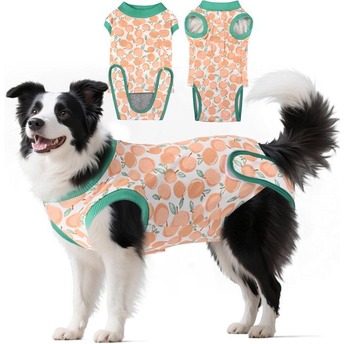 Combinaison de convalescence pour chien Vêtements pour chien Alternative souple à la collerette Vêtements pour animaux Vêtements de